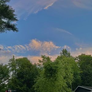 Meet your Posher, Henry